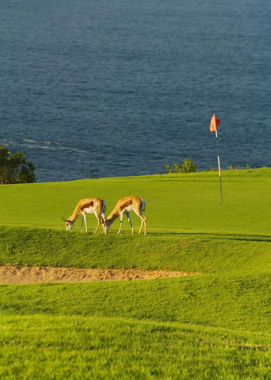 Mossel Bay Golf Lodge מראה חיצוני תמונה